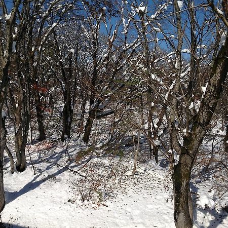Myoko Kogen Pension Yamasan Dış mekan fotoğraf